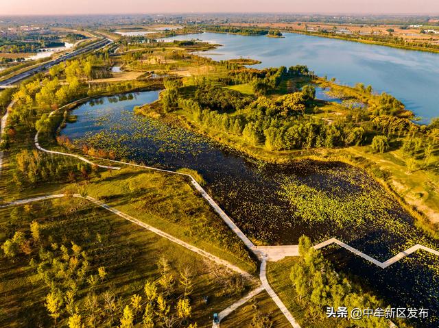 与中牟新区的秋，赴一场慢时光之约
