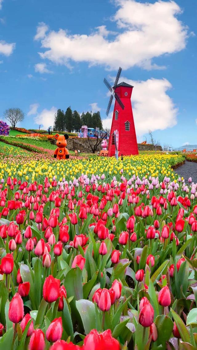 淄博！这个宝藏之地，来了你就忘不掉！