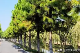 终结本次执行之后，法院的查封、扣押、冻结会解除吗？图片