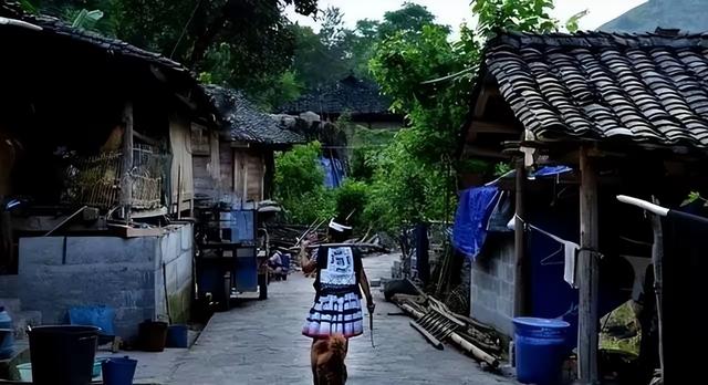 广西与贵州交界处的“菇类村”，女性衣着开放，以母系社会为主