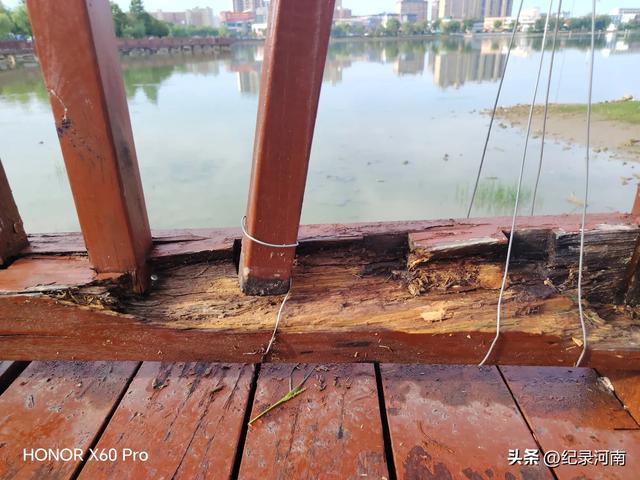全国文明城市柘城县国家湿地公园榕湖斥巨资升级的人行栈道现状