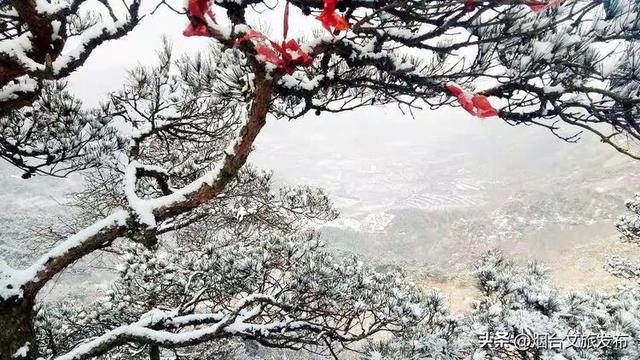 【乐游烟台】雪后，天崮山进入最佳雪景观赏期