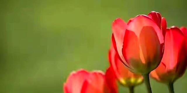 两性关系男人过70岁后，基本上都有如下现状！具体表现是这样的