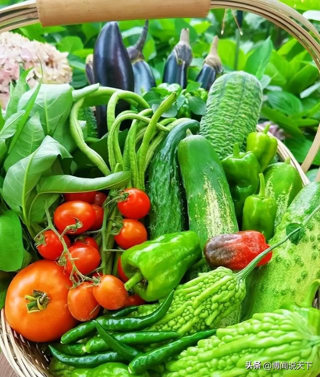 央视曝光毒红薯！商户主动投毒，流窜至全国多地	，背后利益链曝光