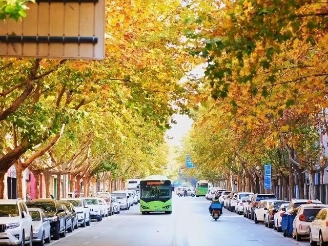 秋日限定美景，还不赶紧来拍？