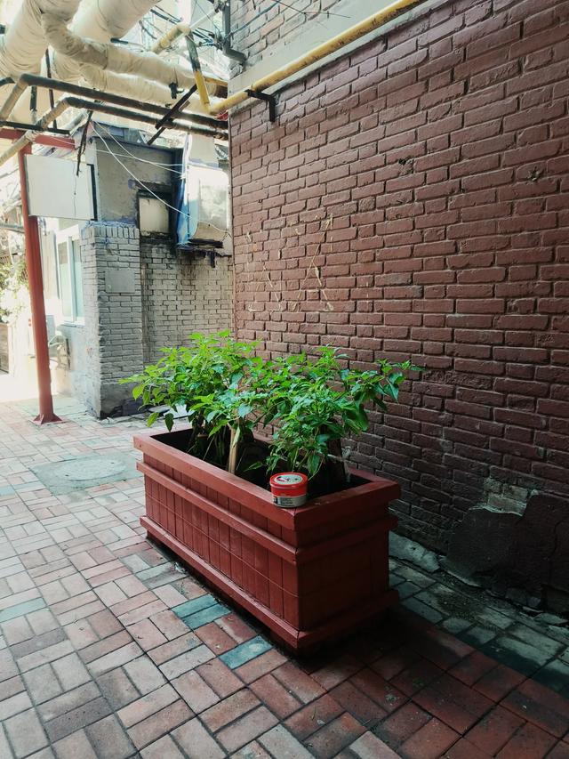 天津又一网红小景点~《兆丰路》
