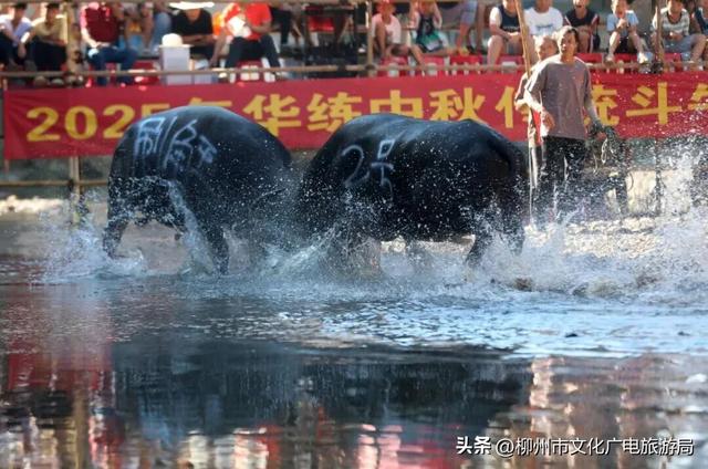 柳州“双节”超级黄金周圆满收官！文旅市场火爆出圈，人气消费双丰收！