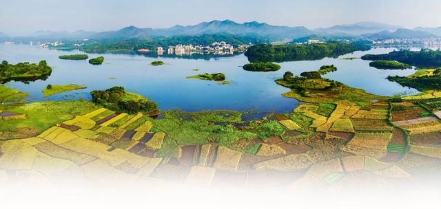 广西灵山县历史沿革及行政区划