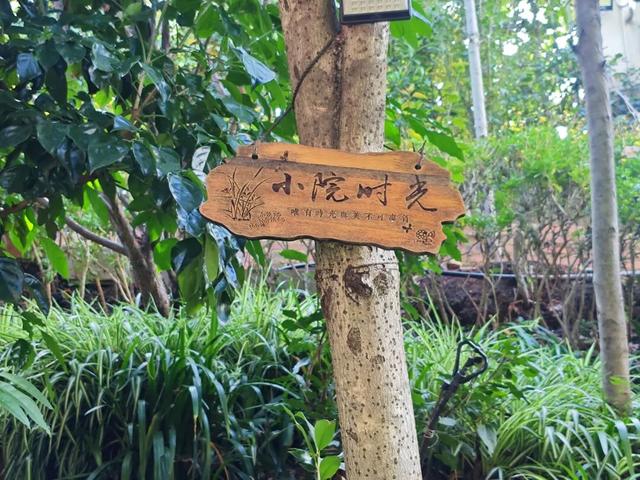 段丽仙：把海东院子住成温情故