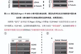 华中农大学术造假事件背后：导师曾叫嚣“我背后有学校年薪50万的律师团”图片