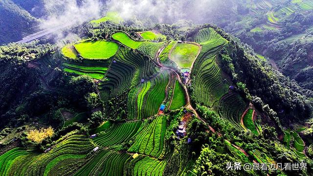 《西双版纳 澜沧行》左都佤山梯田云雾：天地间的水墨长卷
