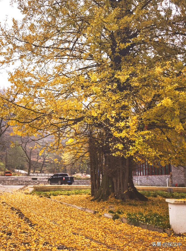 冬启秋未远！草川子的秋景仍在等你