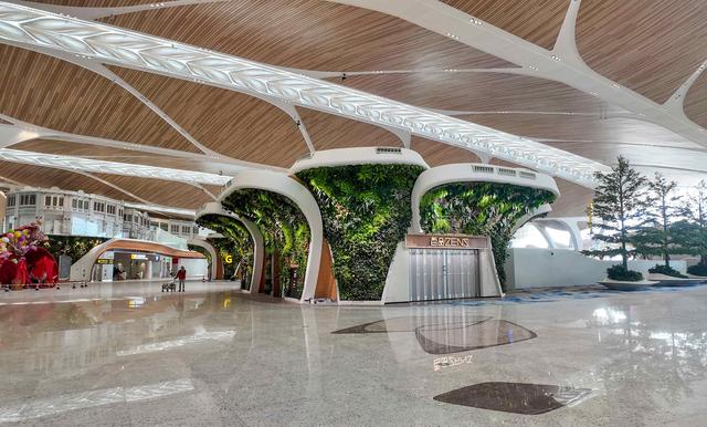 广州白云T3航站楼启用：全国最大单体机场诞生，岭南花城新地标