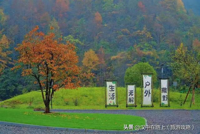 楮溪源景区：非遗茶歌、露营烧烤等你来！