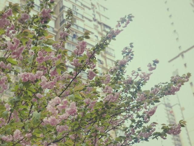 97年迪斯科舞厅，一个穿红裙的女人，在我耳边吹了口气