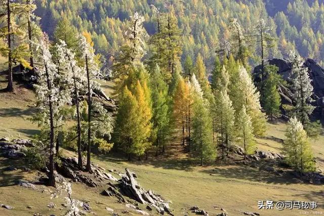 小兴安岭藏宝地!南岔冰雪狂欢、红色记忆、北药盛宴