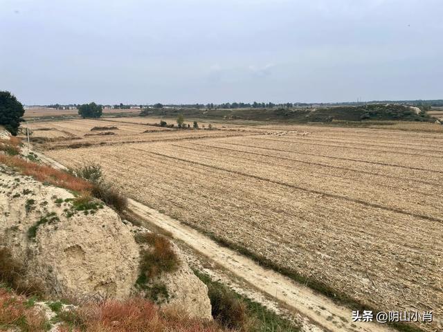 呼和浩特市托克托县田野考察笔记