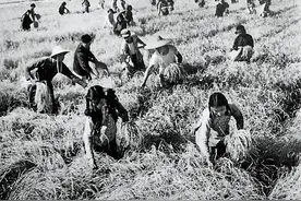 罗素：论中国人的性格图片