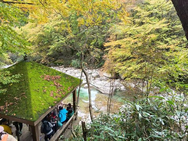 排队游览光雾山