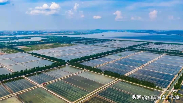 在高淳，我找到了快慢平衡的生存密码