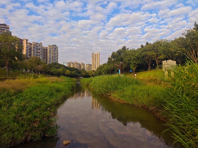 环西丽湖绿道骑行慢行随拍-动个好奇心