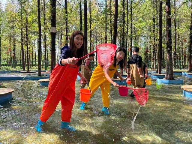 十一收官别急！错峰出游正当时，济南这里竟然偷偷藏了个花海秘境！