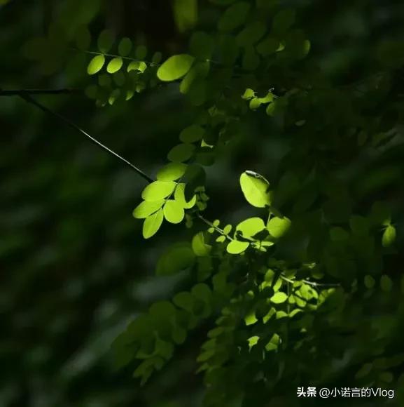 梦到去世的亲人、朋友,多半是这三种暗示