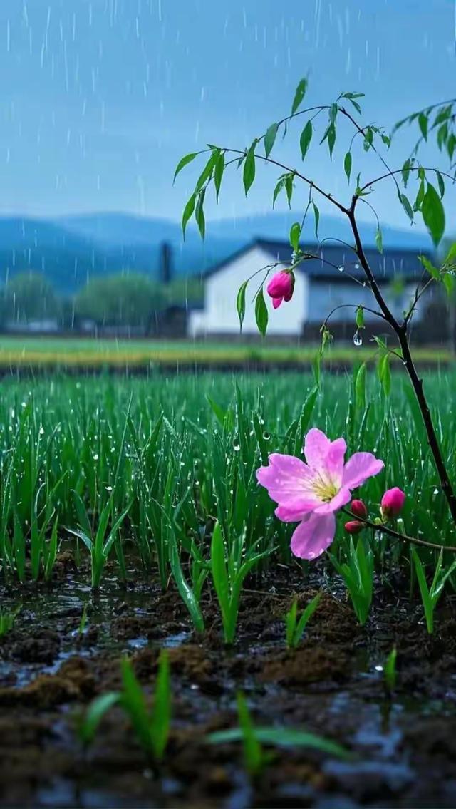 缁胯壊鎶ょ溂澹佺焊缇庡浘