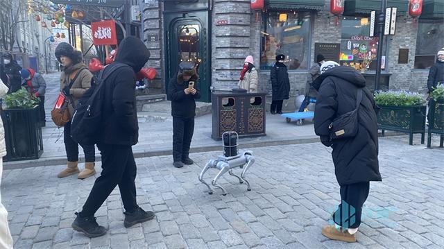 “显眼包”来了！中华巴洛克历史文化街区机器狗导览员试“上岗”