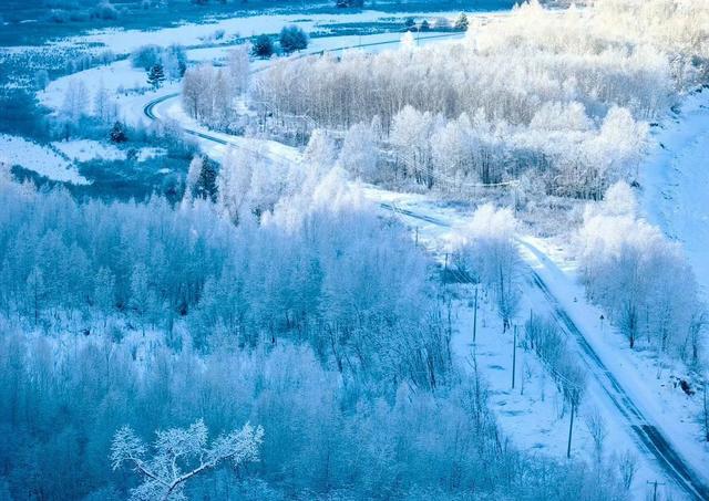 老话为何说“大寒不寒，人马不安”？背后藏着春之序幕