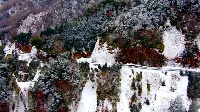 汉中各大景区银装素裹!快来共赴2025年第一场冰雪之约 →