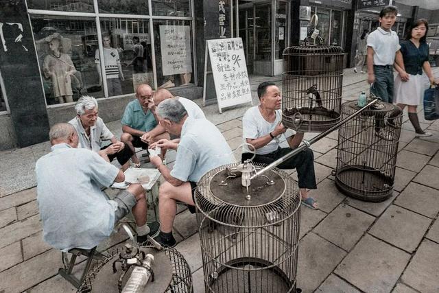 再也回不去了！90年代的“老青岛”，居然是这个样子