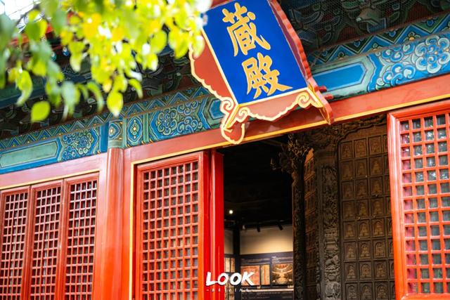 北京最新秋日打卡地 · 再看要等明年