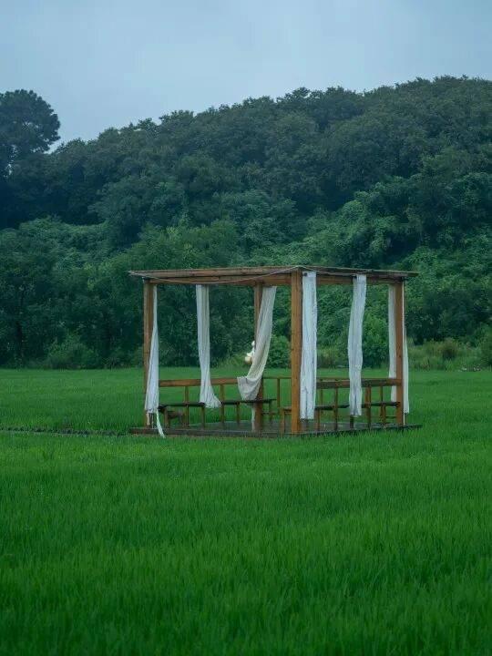 太美！来看金坛茅山私藏的「秋雨仙境」
