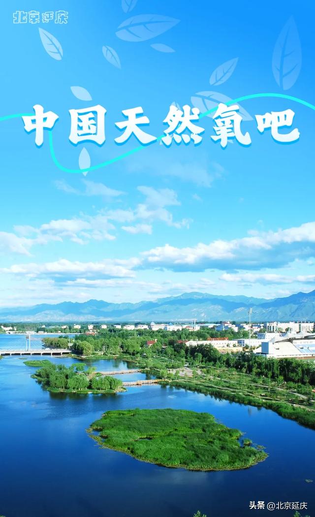 延庆，你还可以叫她_______