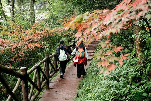 秋日研学行｜天台山徒步 + 红色传承，少年们的成长之旅！