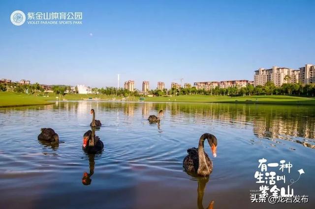 龙岩周末去哪儿｜秋的余温，藏在龙岩这些地方→