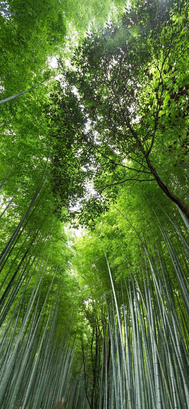 手机壁纸|国庆假期，欣赏美丽的自然风光