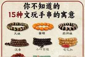 15种文玩手串的寓意图片