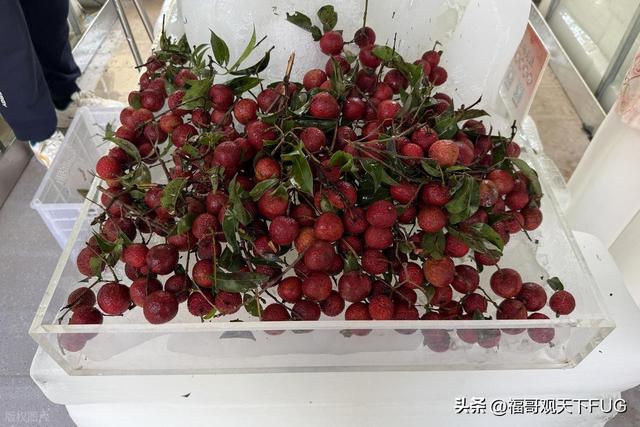 西安永兴坊荔枝免费吃