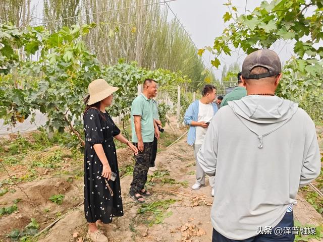 陕西作家采风团来到泽普 多元体验创作“活素材”