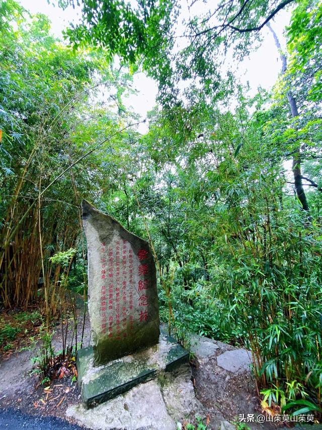 2023年春重庆探亲记（六）
