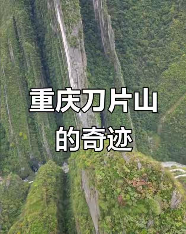 山野探险，安全第一！这次的故事告诉我们，随意“玩命丶