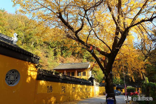 苏州穹窿山下香山草庵，冬日银杏和古庙的完美组合
