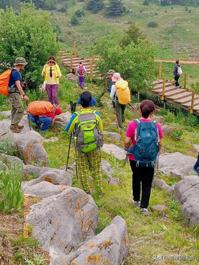 7）山西阳城析城山圣王坪，在云端草甸邂逅狼毒花的美，与千年传