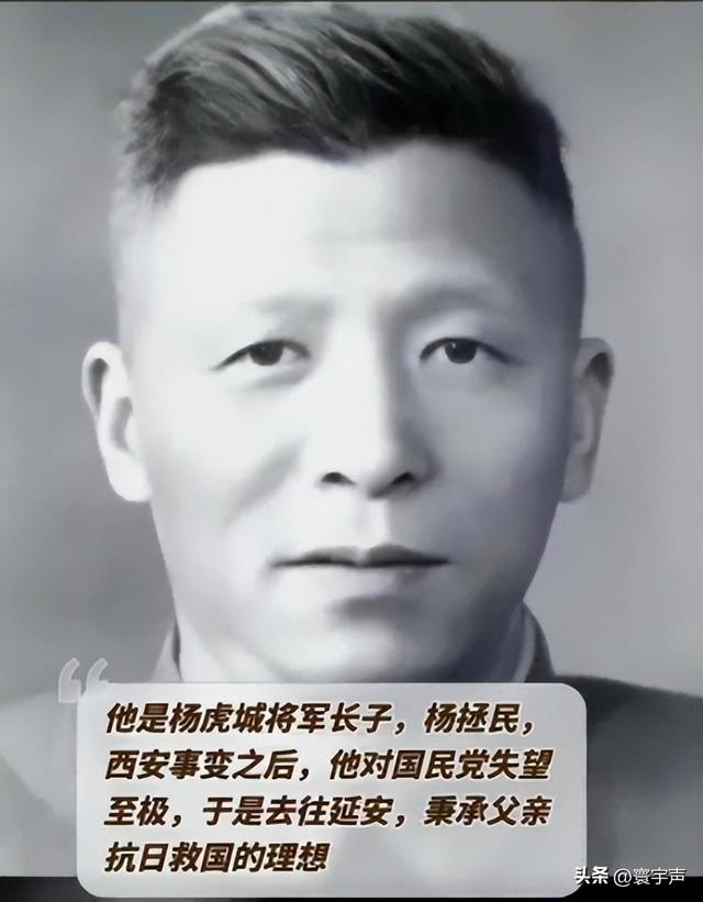杨虎城的后人今何在：长子省委书记，俩女儿厅级，孙子移民加拿大
