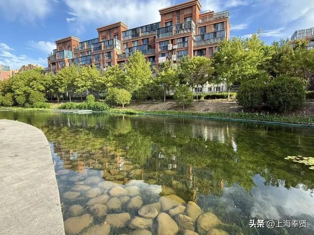 漫步河畔•贤美生活