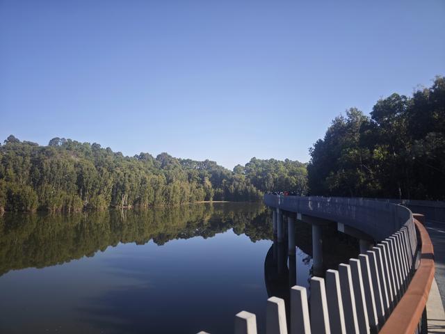 龙华新“骑”点，奔向2026骑行随拍1129