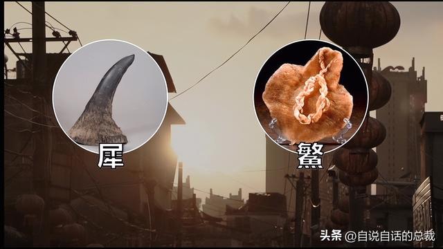 笔架鱼肚 花胶 区别 2026年笔架鱼肚怎么做好吃