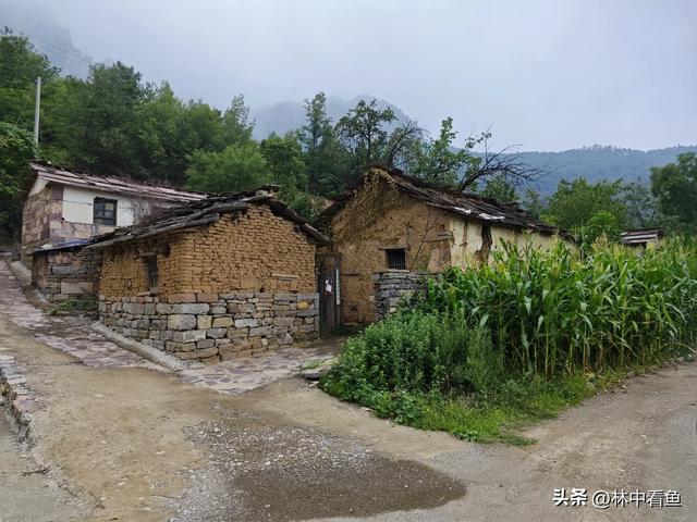 走遍石板岩之上坪南背自然村